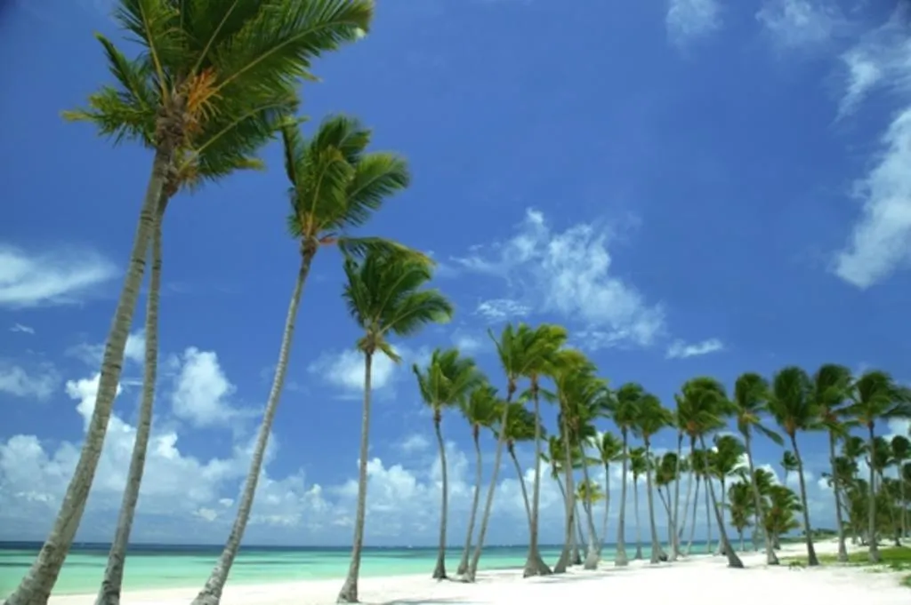 The Villas At Cap Cana By Alsol Punta Cana